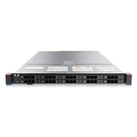 Серверная платформа Gooxi SL101-D10R-NV-G4 1U (0.95.001.0027)