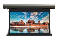 Экран с электроприводом Lumen LCTC-100138