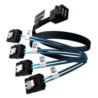 Кабель LSI L5-00221-001 10 м