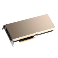Профессиональная видеокарта NVIDIA A100 (900-21001-0020-000) с 80GB памяти