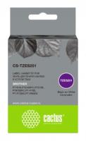 CS-TZES251