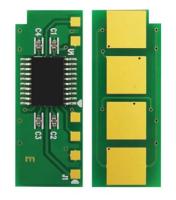 CS-CHIP-P211-100