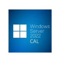 Microsoft Windows Server CAL 2022